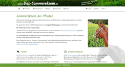 Desktop Screenshot of das-sommerekzem.de
